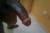 Screenshot_20250123-230542
