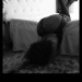 IMG_20250528_063716