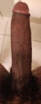 IMG_1325 IMG_1325