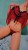 IMG-20250714-WA0004