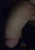 Half