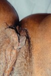 IMG_2511