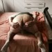 IMG-20250607-WA0000