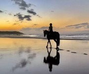 horesriding horesriding