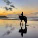 horesriding