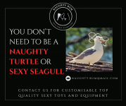 You don’t need to be a naughty turtle or sex sea gull. (1) You don’t need to be a naughty turtle or sex sea gull. (1)