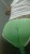 IMG-20251025-WA0008