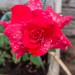 IMG-20250501-WA0005