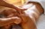 494200-Massaging-Stock-Photos-Pictures-Royalty-Free-Images