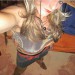 IMG-20200723-WA0028