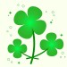 213687548-four-leaf-clovers-clover-leaves-st-patricks-day-illustration