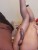 fa7fc605-2ee6-415b-ae61-70ae343afdf5-1_all_19973