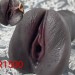 Screenshot_20260316-193434~2 (1)