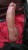 IMG-20240113-WA0001