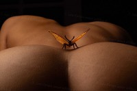 IMG_1792 IMG_1792