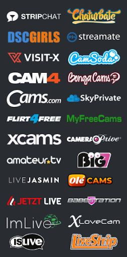 lemoncamsbanner