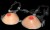p_breast_forms_silicone_hollow_back_view_top_546x333