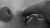 1000157013